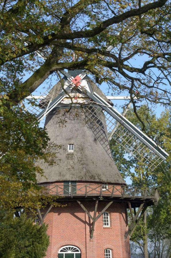 Ferienhaus Kleine Oase Фарель Екстер'єр фото